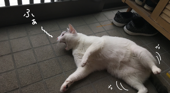 猫ためのDIY! ヅラネコ用の簡易網戸を作ってみました!! 猫ためのDIY! ヅラネコ用の簡易網戸を作ってみました!!