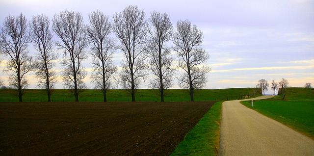 f:id:dai7place:20211221093028j:plain