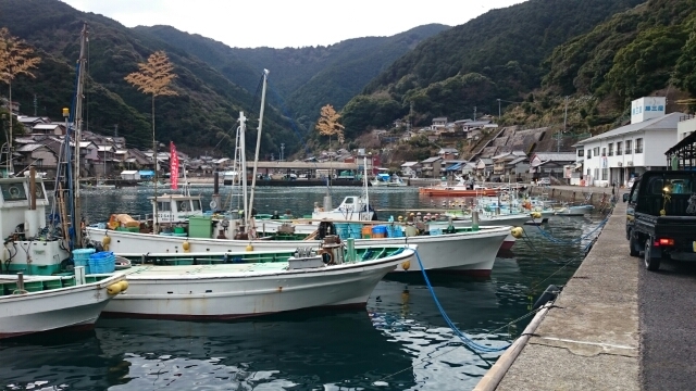 20180204133451215.jpg
