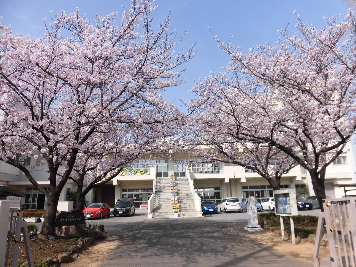Daibara お別れの日に桜満開! - daibara-jhのブログ