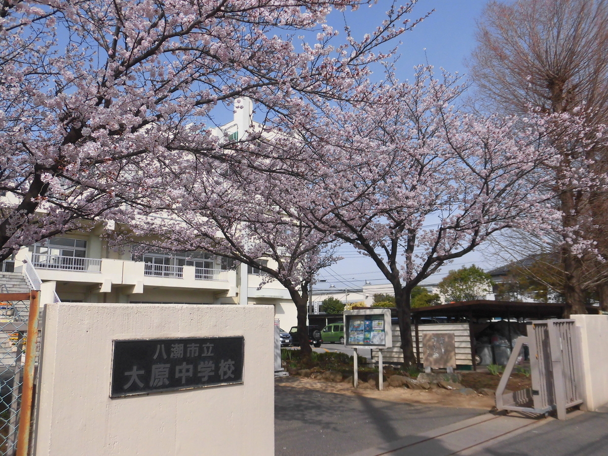 Daibara お別れの日に桜満開! - daibara-jhのブログ