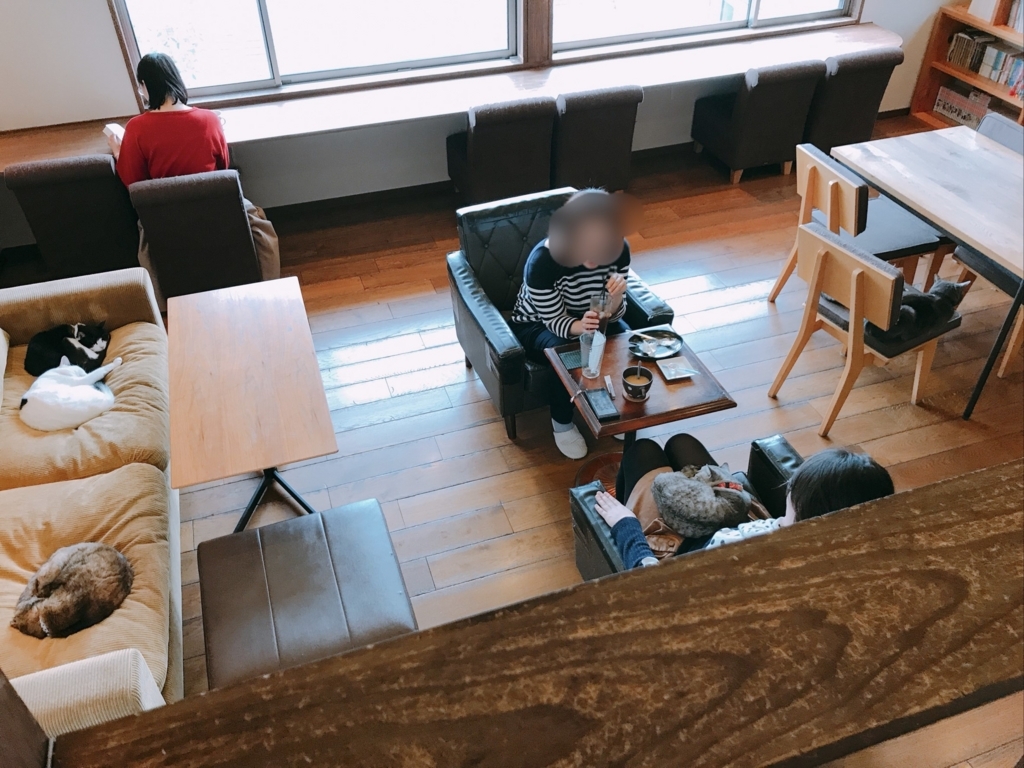 Cats Cafe Nuko Mahi 大分の猫カフェ ぬこマヒ が最高すぎた件 とろけた Mary雑記録