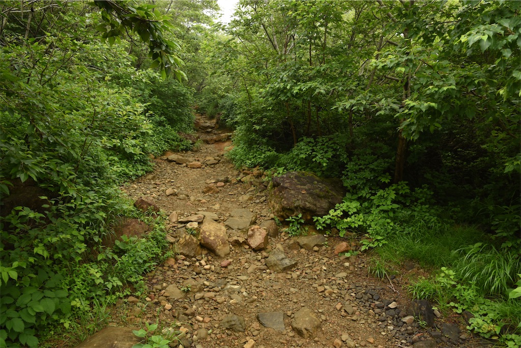 f:id:daic22:20200708222858j:image f:id:daic22:20200708222858j:image