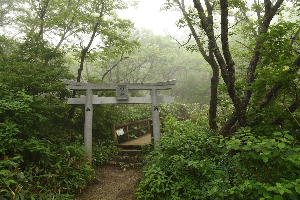 f:id:daic22:20200708223125j:image f:id:daic22:20200708223125j:image