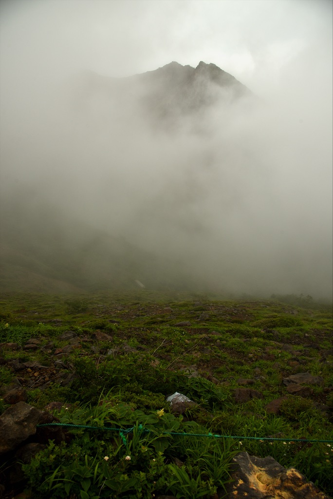 f:id:daic22:20200708223201j:image f:id:daic22:20200708223201j:image