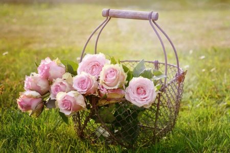 f:id:daichantarotto5963:20191019124733j:plain f:id:daichantarotto5963:20191019124733j:plain
