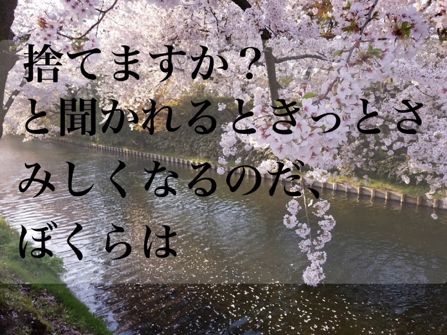f:id:daichi6388:20180505214207j:plain