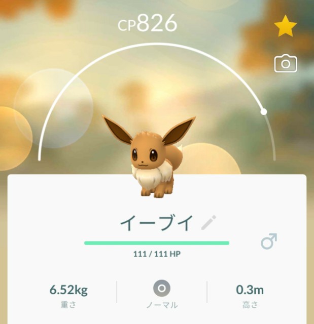 f:id:daichipokego777:20190814155307j:image
