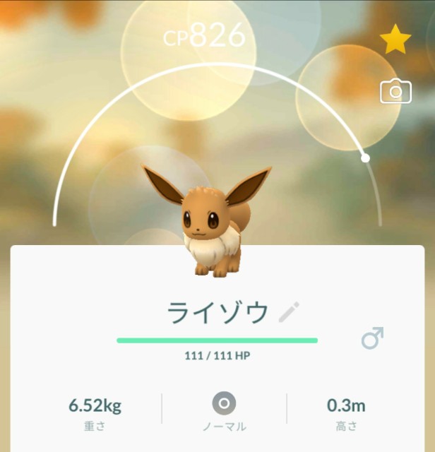 f:id:daichipokego777:20190814160451j:image