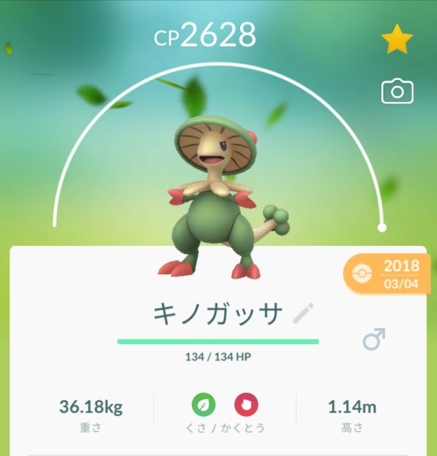 f:id:daichipokego777:20190815090040j:image
