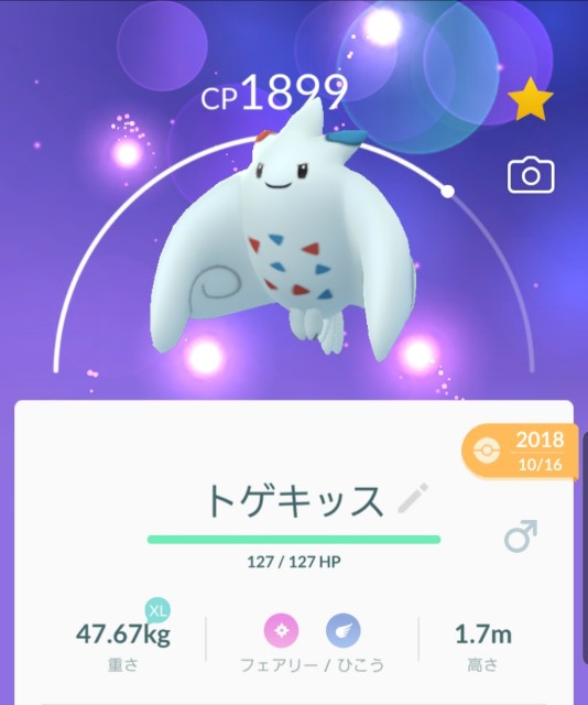 f:id:daichipokego777:20190819113407j:image f:id:daichipokego777:20190819113407j:image