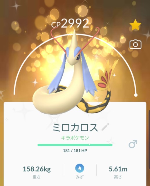 f:id:daichipokego777:20190819113612j:image f:id:daichipokego777:20190819113612j:image