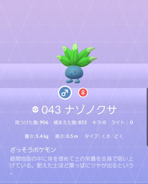 f:id:daichipokego777:20190824004006j:image