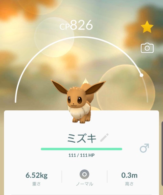 f:id:daichipokego777:20190902075219j:image