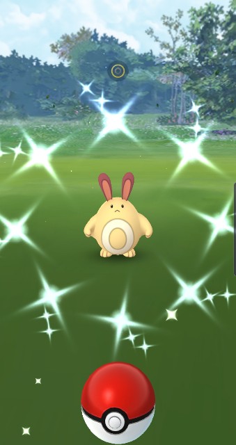 f:id:daichipokego777:20190909204007j:image