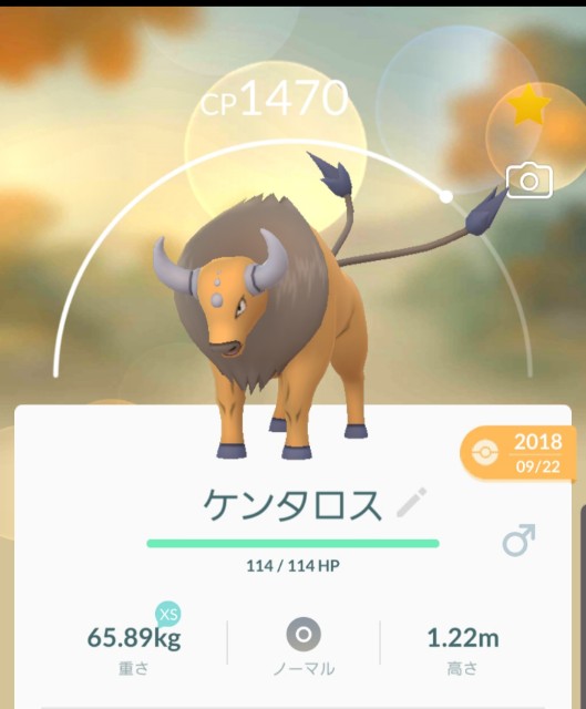 f:id:daichipokego777:20190910232538j:image