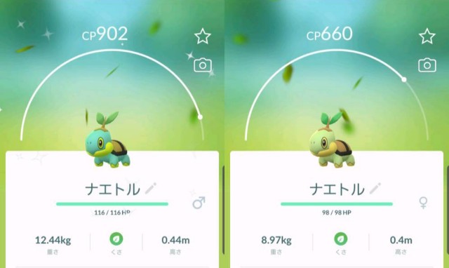 f:id:daichipokego777:20190915192246j:image