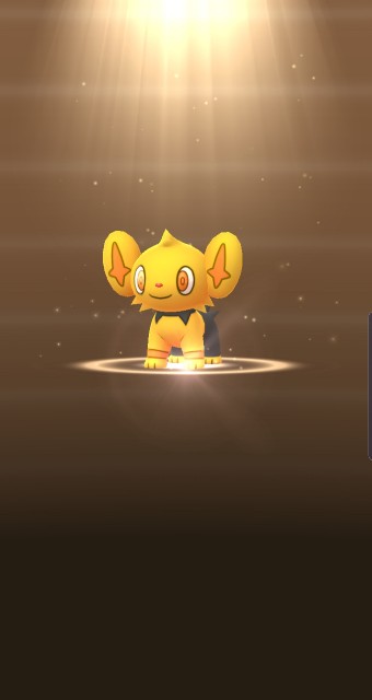 f:id:daichipokego777:20191005002140j:image