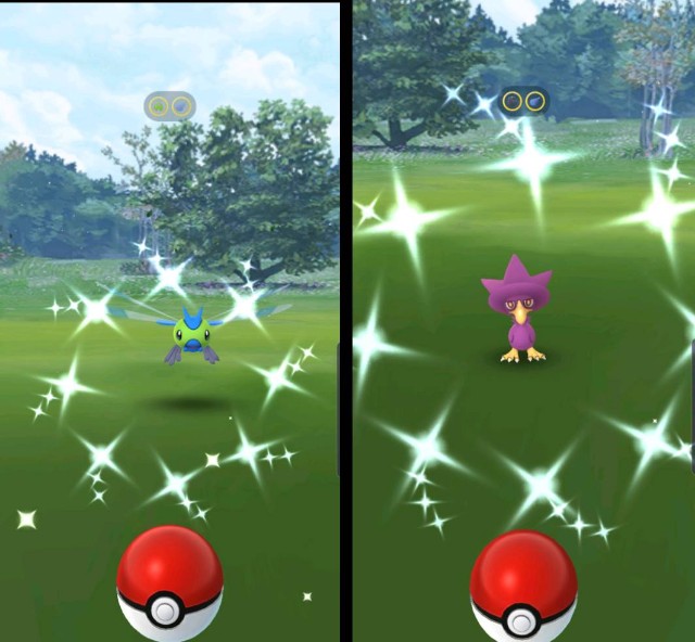 f:id:daichipokego777:20191005092941j:image