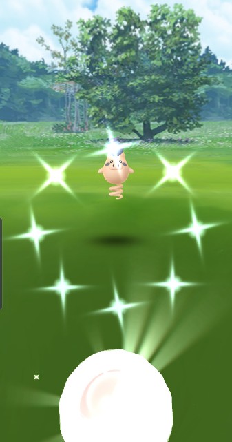 f:id:daichipokego777:20191005094354j:image