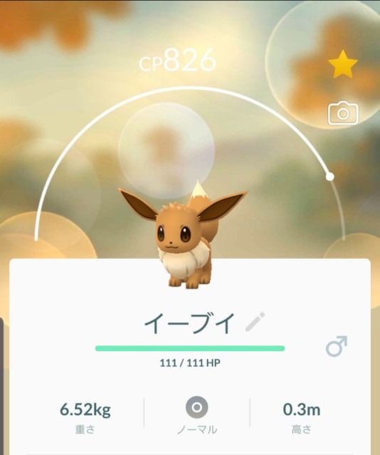 f:id:daichipokego777:20191012101911j:plain