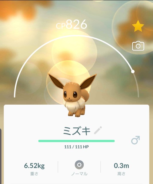 f:id:daichipokego777:20191012103843j:plain