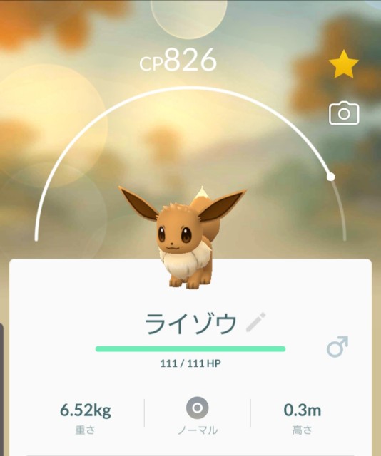 f:id:daichipokego777:20191017105540j:plain