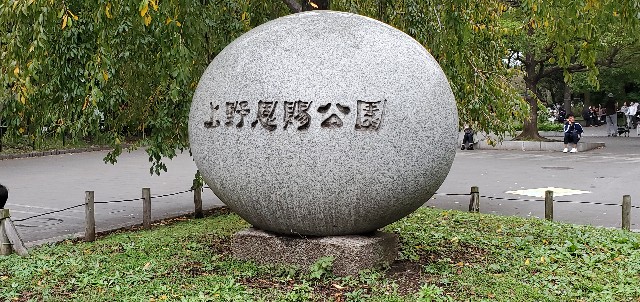 f:id:daichipokego777:20191026194328j:plain