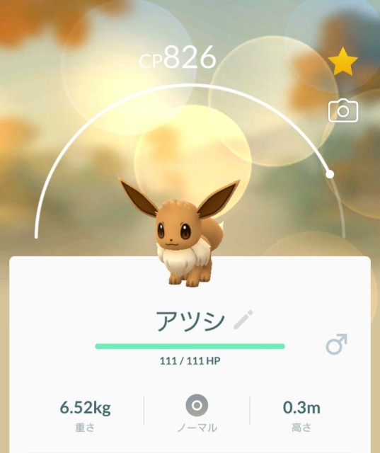 f:id:daichipokego777:20191102084827j:plain