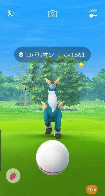 f:id:daichipokego777:20191105221551j:plain