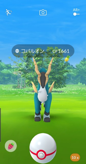 f:id:daichipokego777:20191105223439j:plain
