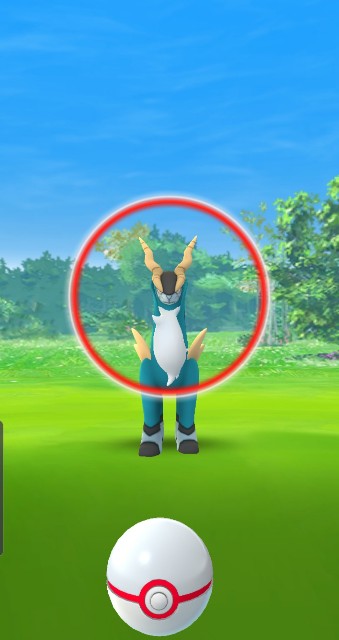 f:id:daichipokego777:20191105224742j:plain