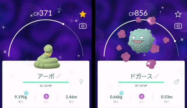 f:id:daichipokego777:20191109085753j:plain