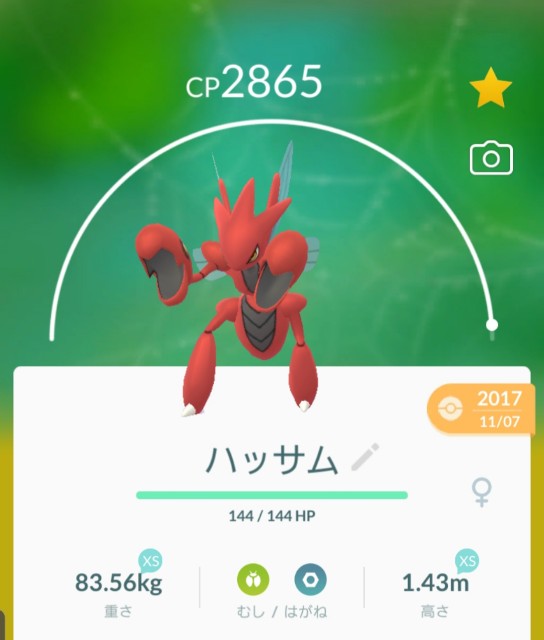 f:id:daichipokego777:20191110194215j:plain
