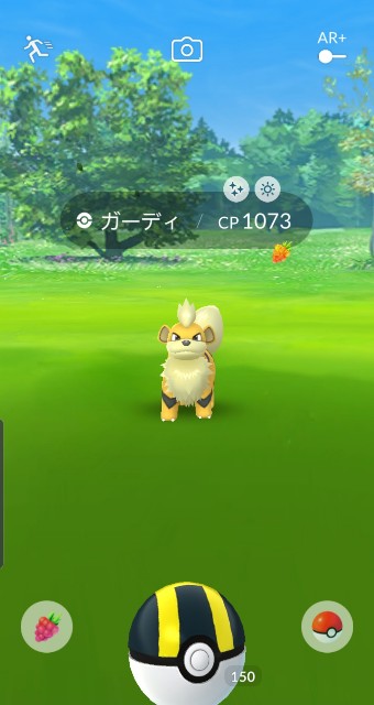 f:id:daichipokego777:20191113115515j:plain