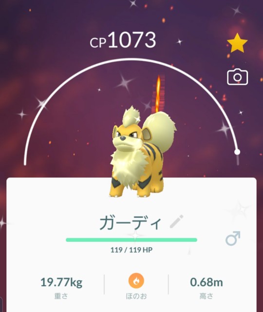 f:id:daichipokego777:20191113122045j:plain
