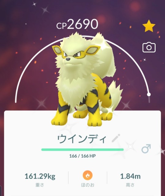 f:id:daichipokego777:20191116174805j:plain