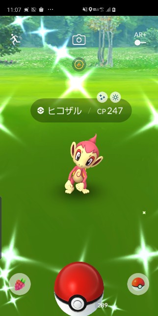 f:id:daichipokego777:20191117113116j:plain