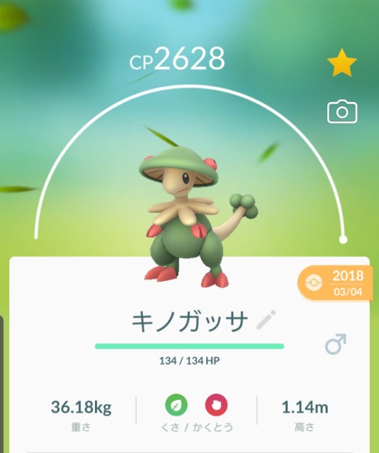 f:id:daichipokego777:20191118232036j:plain f:id:daichipokego777:20191118232036j:plain