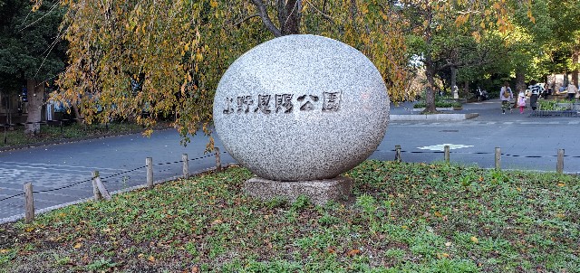 f:id:daichipokego777:20191130002957j:plain