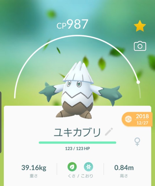 f:id:daichipokego777:20191211080156j:plain
