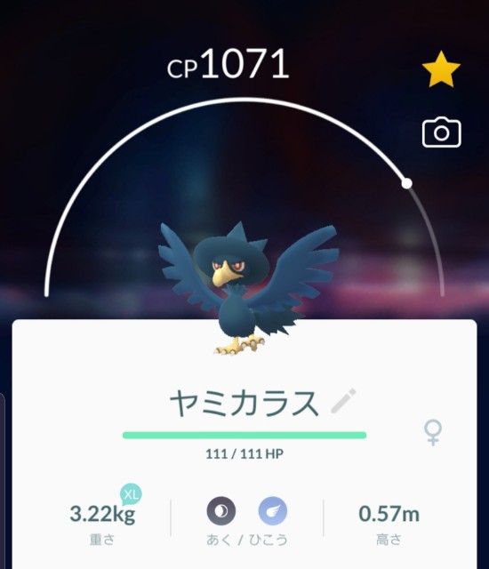 f:id:daichipokego777:20191218182616j:plain