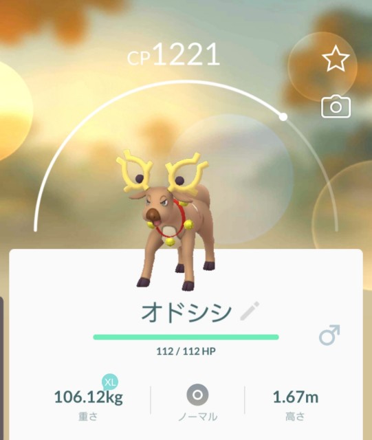 f:id:daichipokego777:20191226234122j:plain