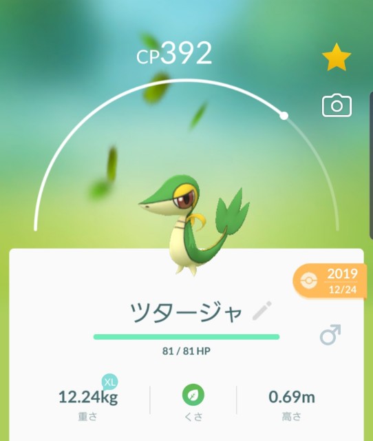 f:id:daichipokego777:20200109220004j:plain