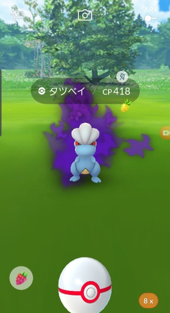 f:id:daichipokego777:20200112110558j:plain