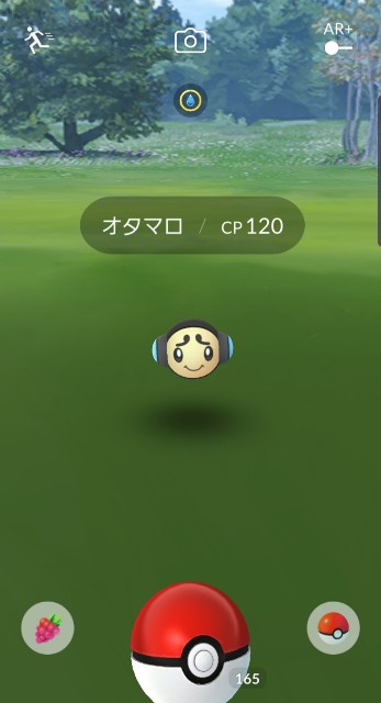 f:id:daichipokego777:20200113112559j:plain