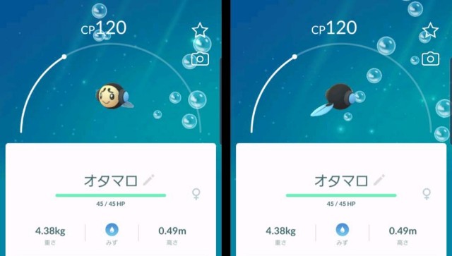 f:id:daichipokego777:20200113114002j:plain