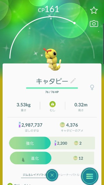 f:id:daichipokego777:20200113161648j:plain