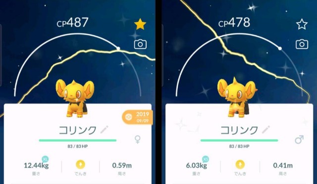 f:id:daichipokego777:20200119185031j:image