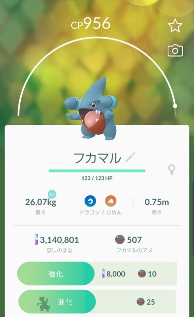 f:id:daichipokego777:20200210194411j:image